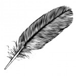 feather